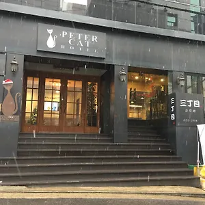 Petercat Shinchon Séoul